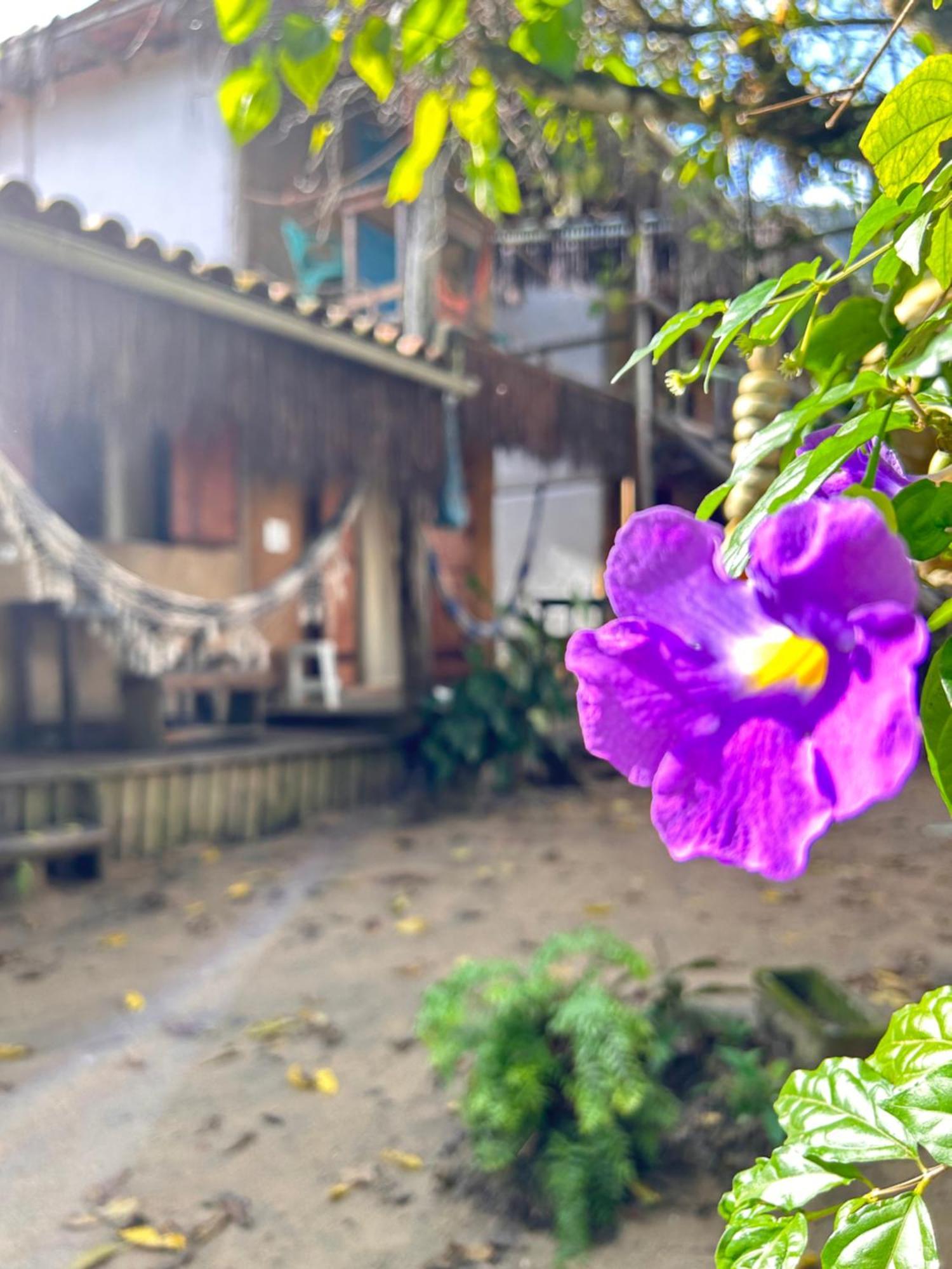 Pousada Roy Bonete Ilhabela Buitenkant foto